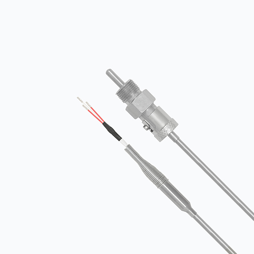 SIMPLEX 3Wires Bearing RTD